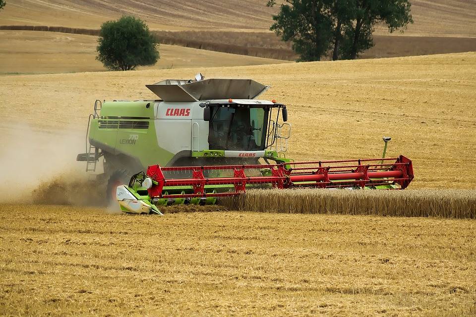 Нехватка удобрений может уменьшить урожай зерновых в США и Канаде и открыть новые рынки для России