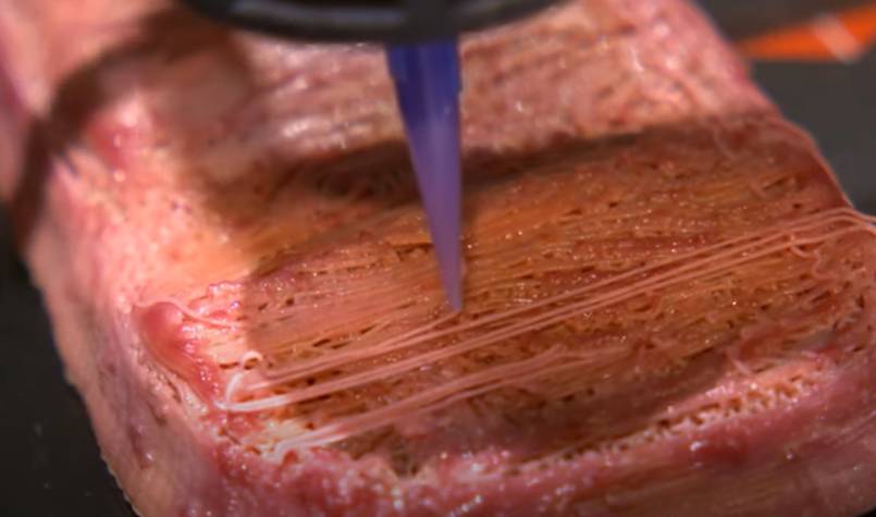 Вариант решения продовольственных проблем: Китай печатает искусственные мясные стейки на 3D-принтере