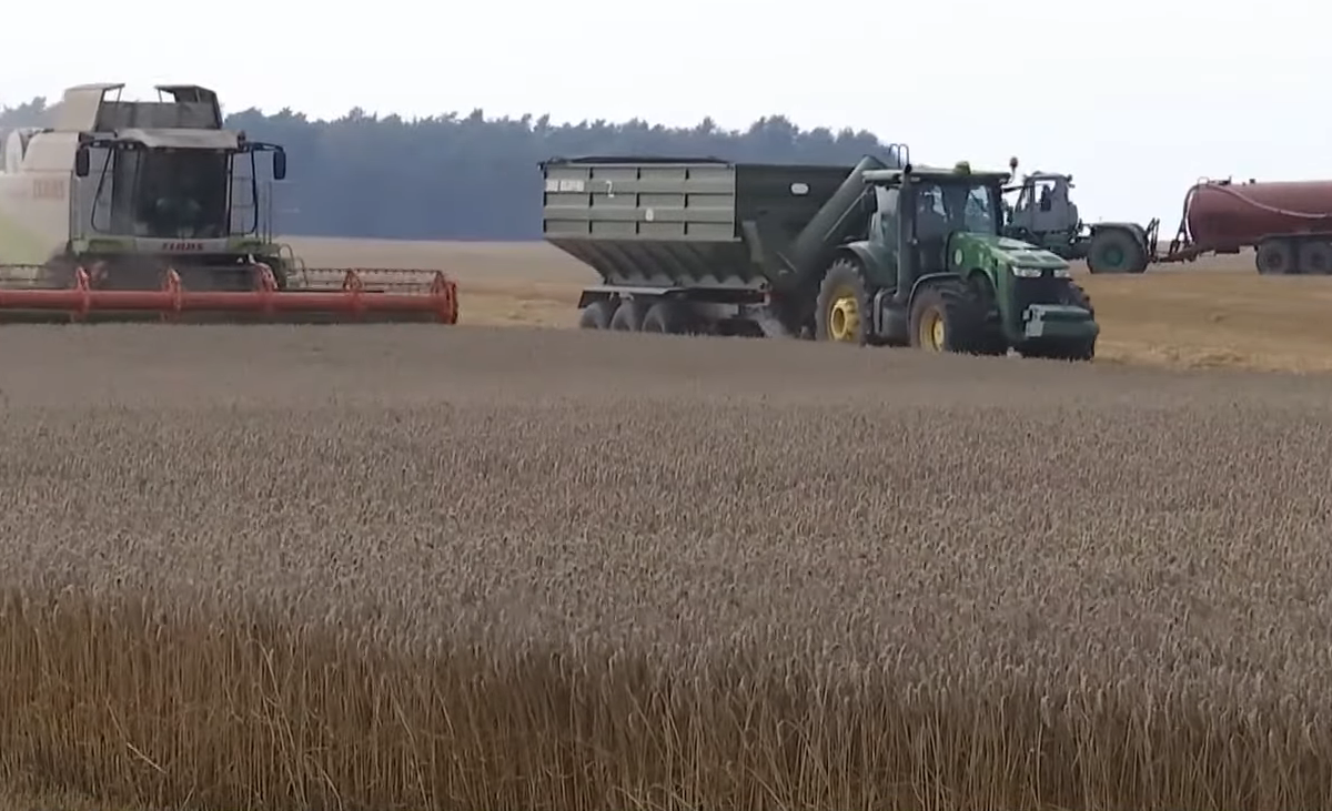 Украина активно распродаёт запасы зерна в погоне за прибылью