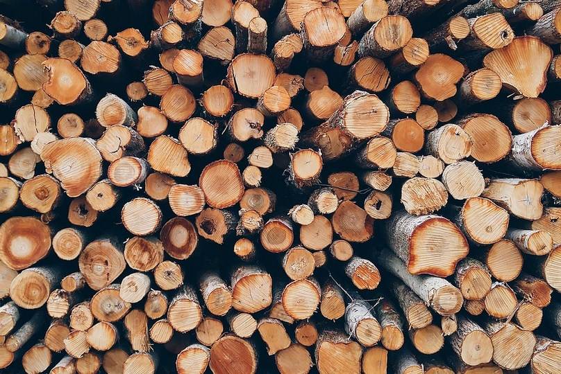 Введенные Россией ограничения на экспорт необработанной древесины губительны для экономики Финляндии