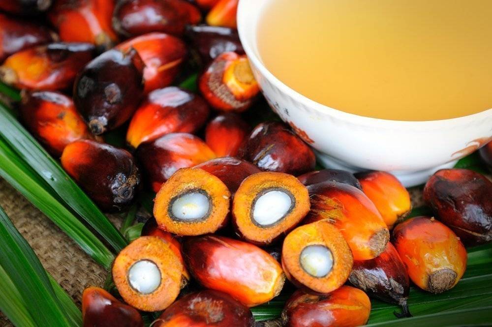 Индонезия не будет экспортировать пальмовое масло
