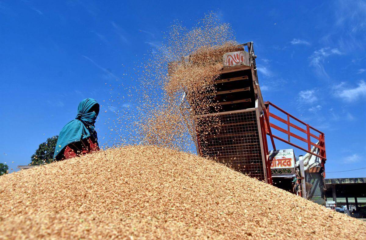 Индия намерена занять первое место в  мире по экспорту пшеницы