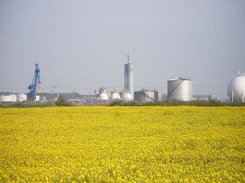 На Украине разработали очередной нереальный план «полного отказа от газового импорта»