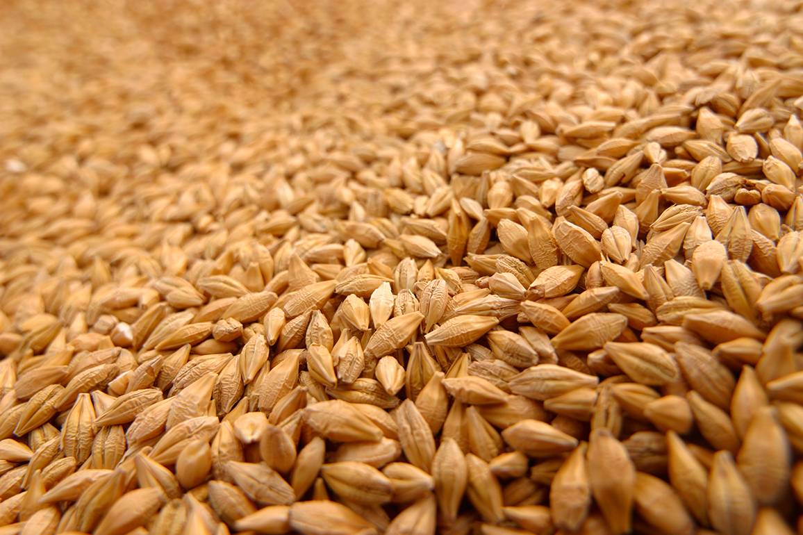 Louis Dreyfus Company откажется от экспорта российского зерна с 1 июля