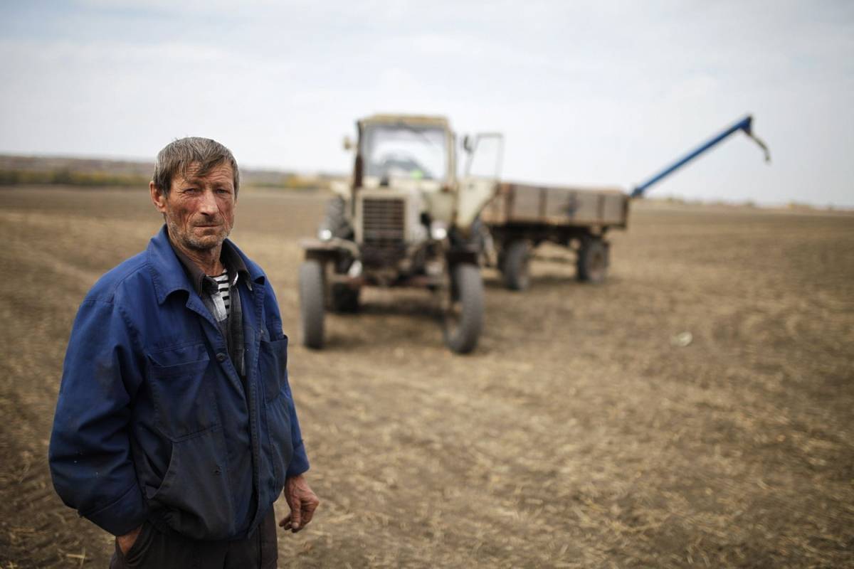 На Украине обещают наказание фермерам за сотрудничество с Россией
