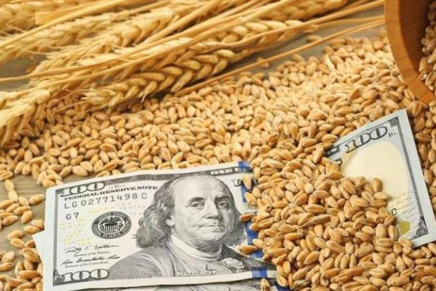 Отказ Польши от украинского зерна отражает суть продовольственной сделки