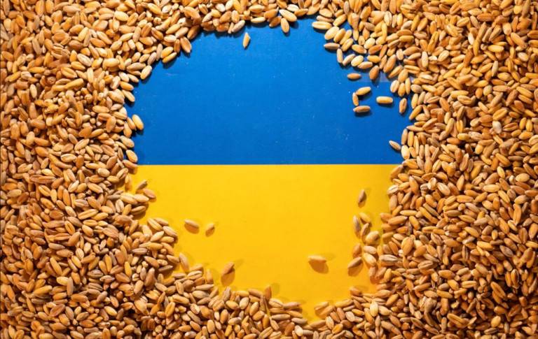 Словакия подтвердила: украинское зерно опасно для здоровья