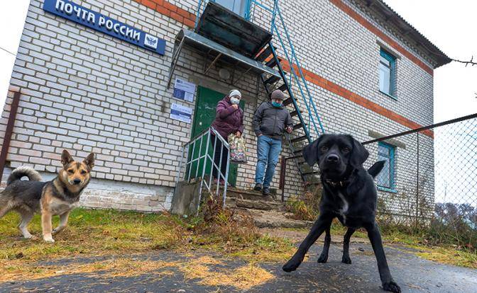 «Почта России» бросает вызов OZON, Wildberries и «Авито»