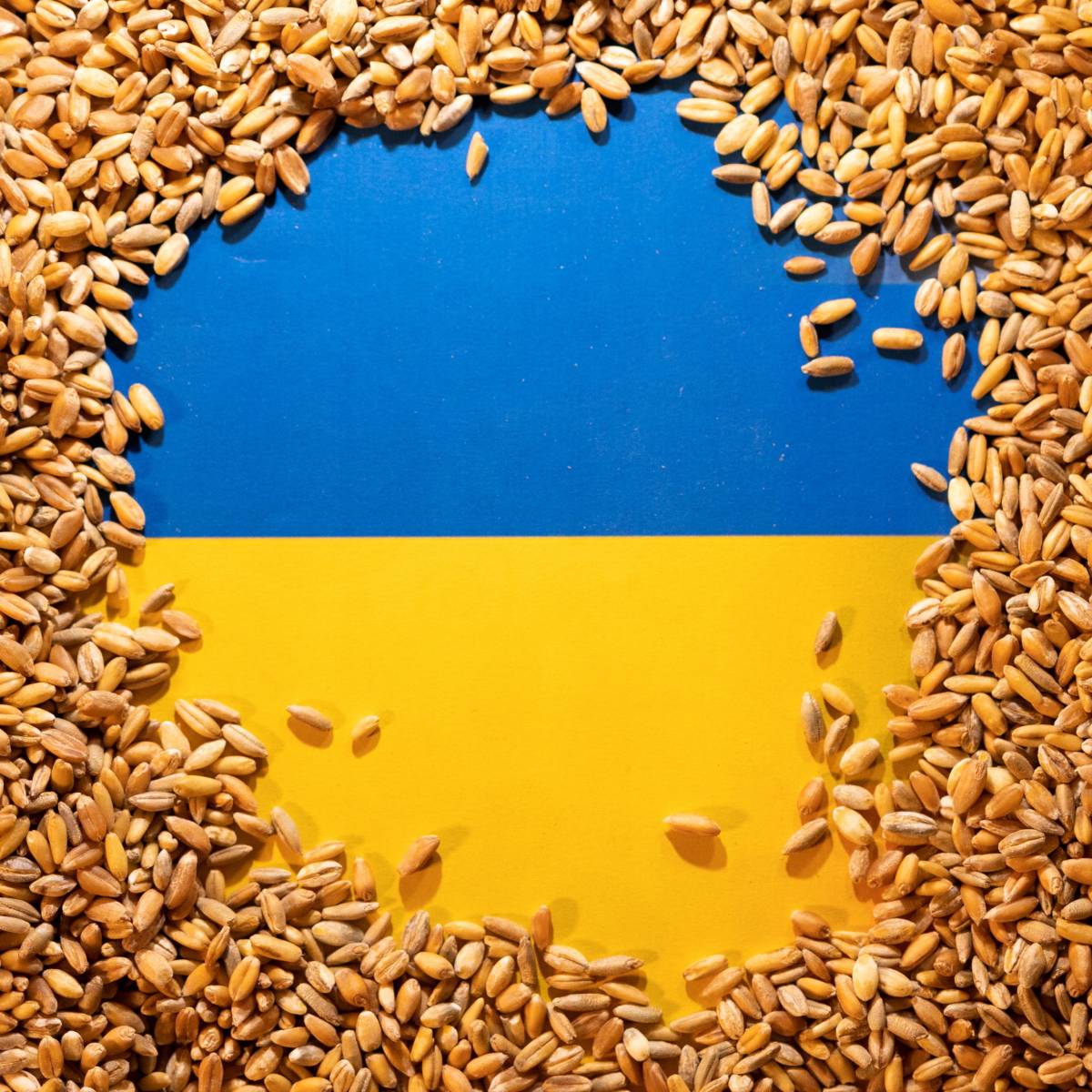 Зеленский пожаловался на «разочаровывающие» сельхозограничения ЕС