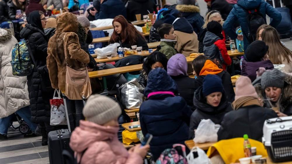Крупные компании обещают нанять более 250 000 беженцев с Украины в Европе