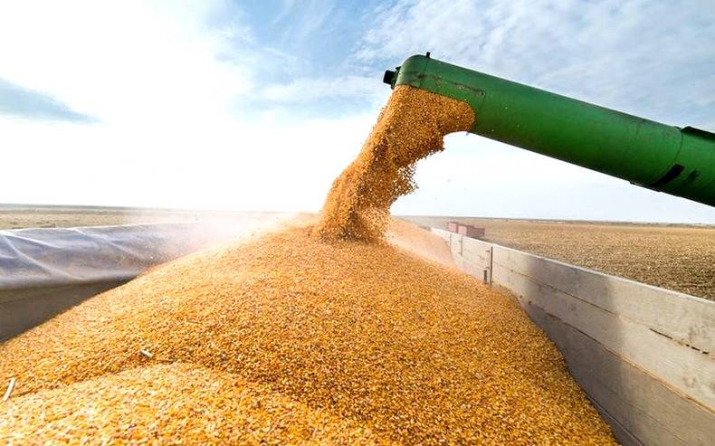 Выход России из зерновой сделки может принести миллиард долларов
