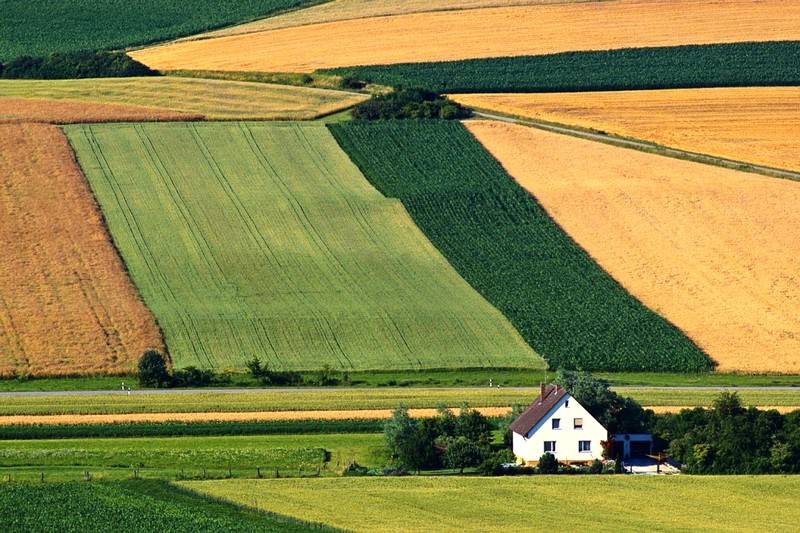 Польша нацелилась на уничтожение сельского хозяйства Украины