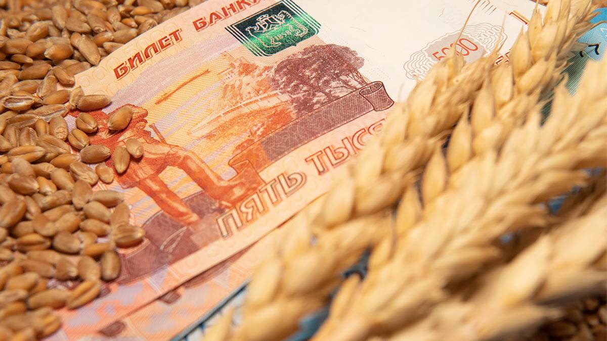 Россия превращается в монополиста зернового рынка, вытесняя Украину