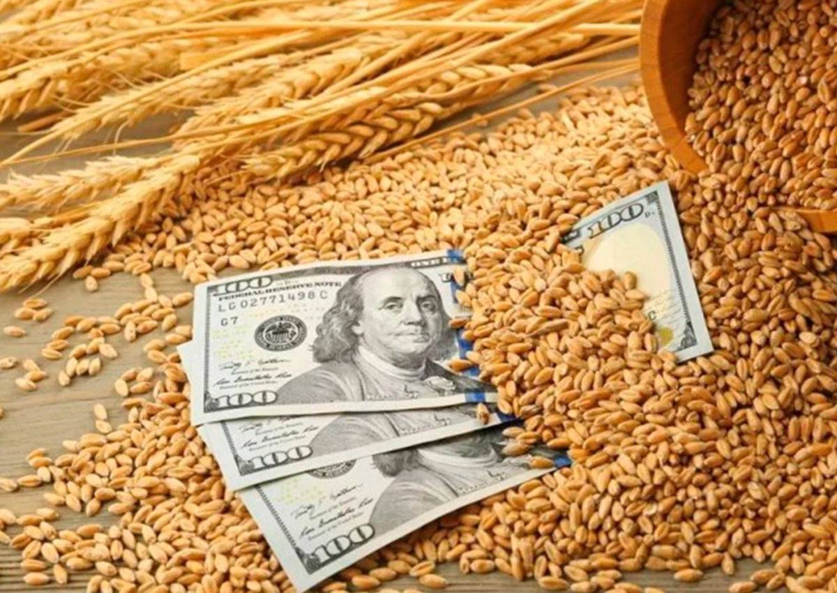 Украинские преступные сети торгуют зерном по нелегальным схемам