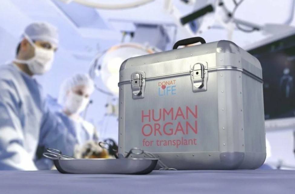 Чёрная трансплантология — криминальный бизнес и метод депопуляции
