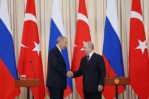 Путин и Эрдоган обсудили "зерновую сделку"