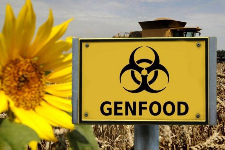 Украина продаёт Monsanto лучшие земли и свой семенной фонд