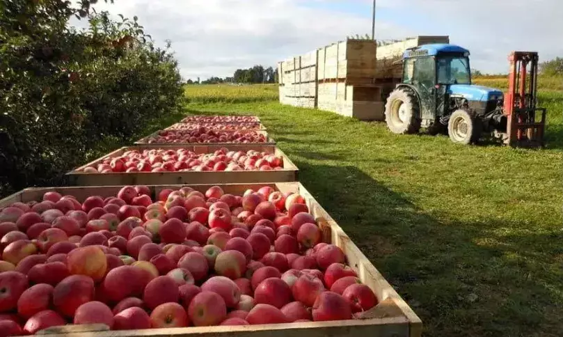 Итоги евроинтеграции: молдавским фермерам некуда продавать продукцию