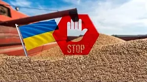 Чьи интересы отстаивает Киев в Черноморской продовольственной инициативе?
