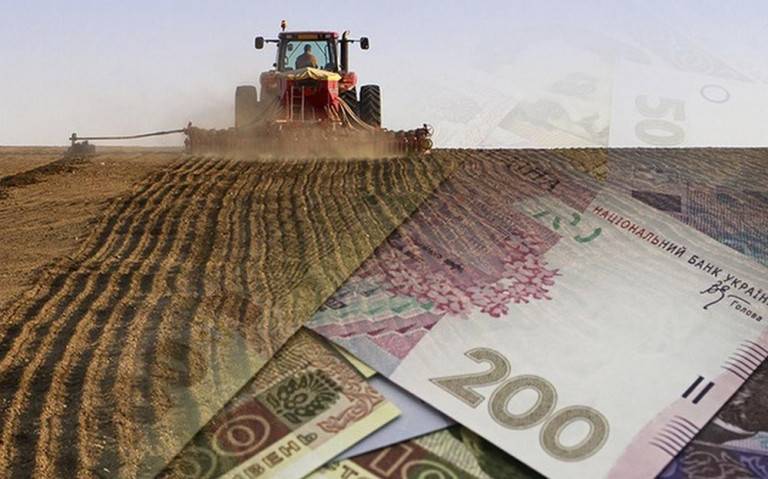 Крах «великой аграрной державы»: украинские аграрии на пороге разорения