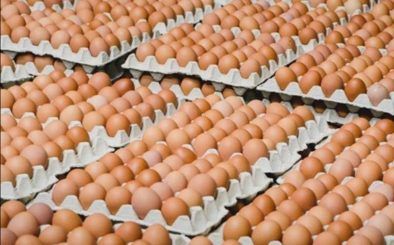 Новая Россия наращивает производство яиц, кормов, восстанавливает заводы