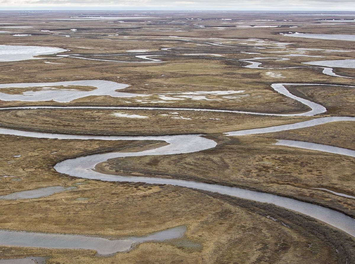 Аляска и Гренландия: США инициируют экологический кризис в Арктике