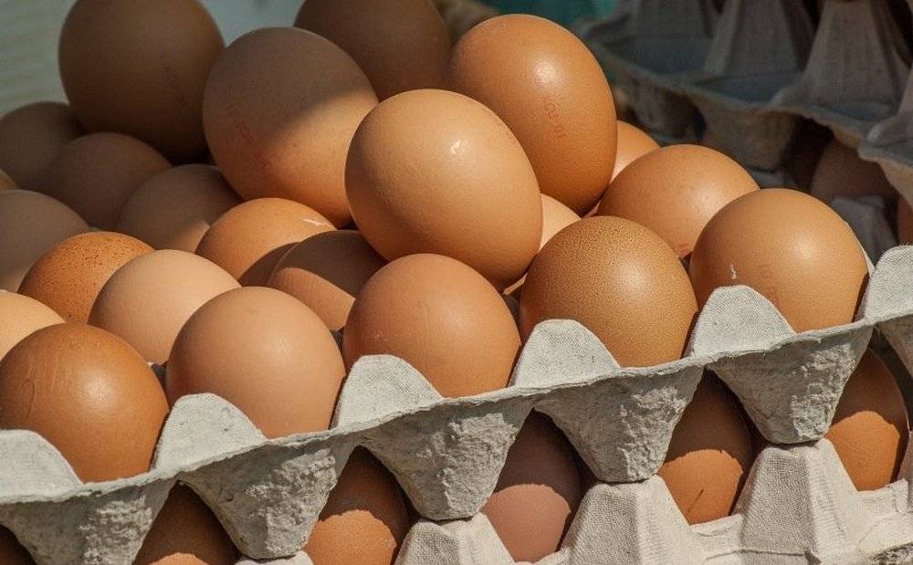 Резкое снижение цен на яйца невыгодно России