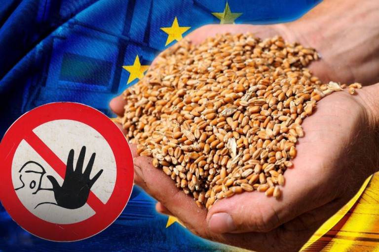 Аграрии Евросоюза объединяются в борьбе с украинским продовольствием