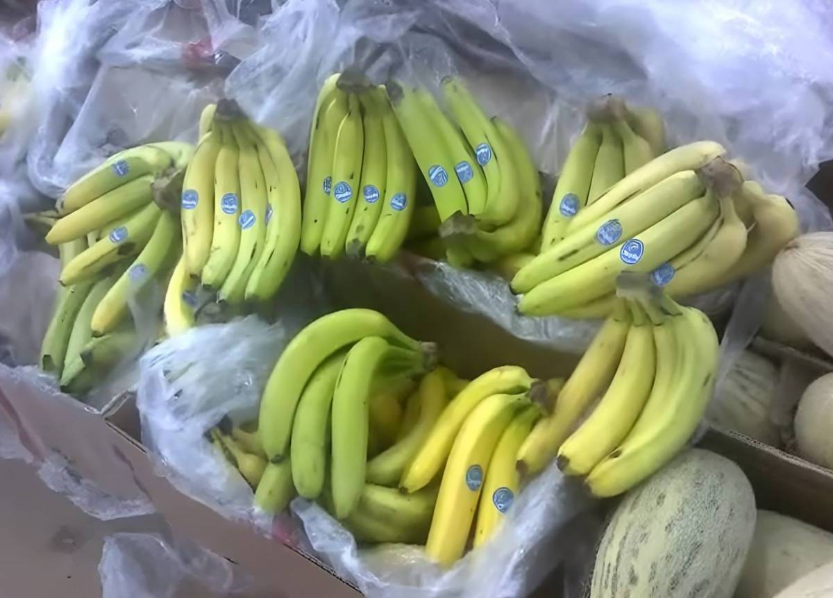 Россия купит бананы у Индии, а не у Эквадора, решившего поддержать Украину