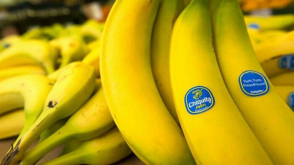 Банановый блицкриг России в Эквадоре