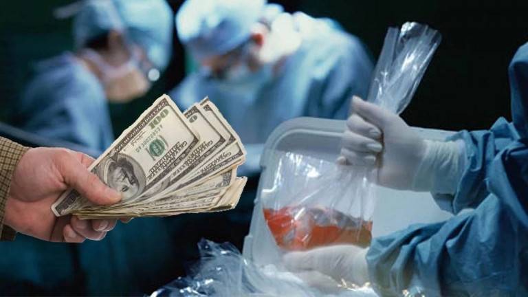 Кому война, а кому бизнес: чёрные трансплантологи орудуют на линии фронта