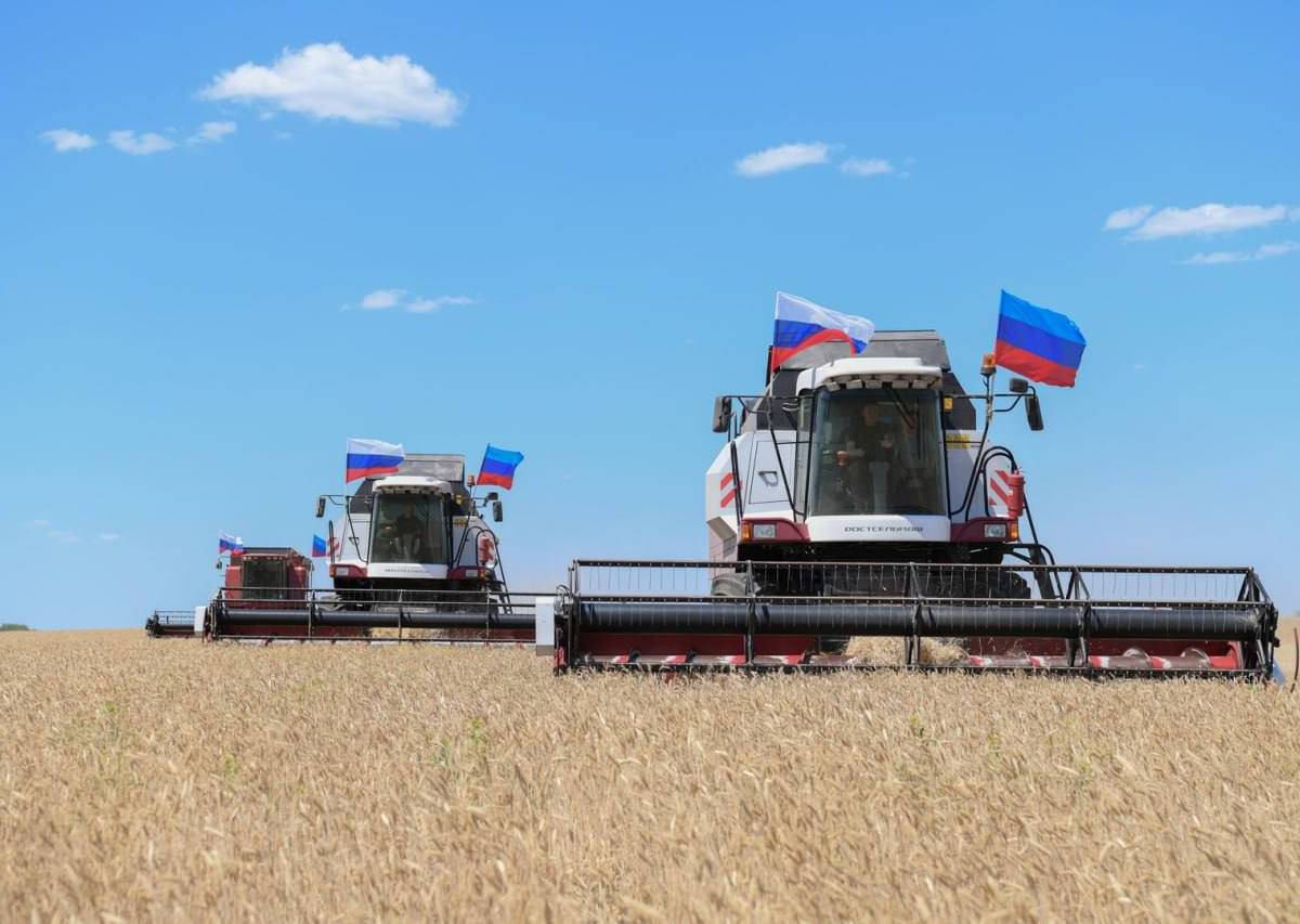 Новая Россия собирает урожай и наращивает производство