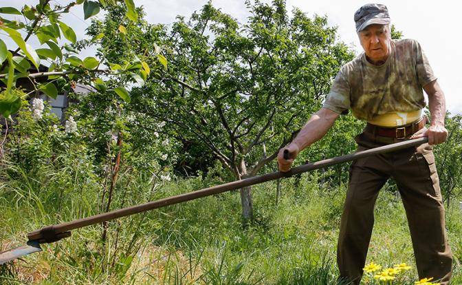 В каких случаях по новым правилам вашу дачу могут забрать «правильные люди»