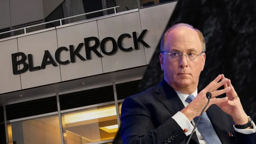 BlackRock: как мега-корпорация захватывает страны «золотого миллиарда»