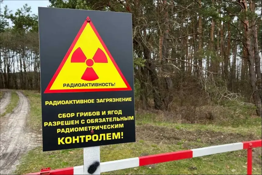 Белоруссия успешно справляется с последствиями Чернобыльской аварии