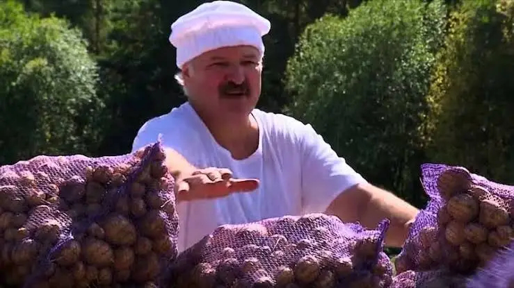 Картофельный кризис в Белоруссии: Лукашенко раскрыл причины дефицита Картофельный кризис в Белоруссии: Лукашенко раскрыл причины дефицита