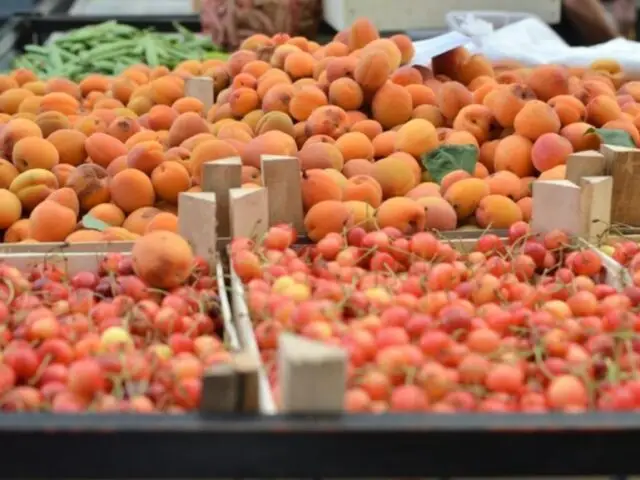 Убийственные заморозки: россиян предупредили об угрозе дефицита продуктов Убийственные заморозки: россиян предупредили об угрозе дефицита продуктов