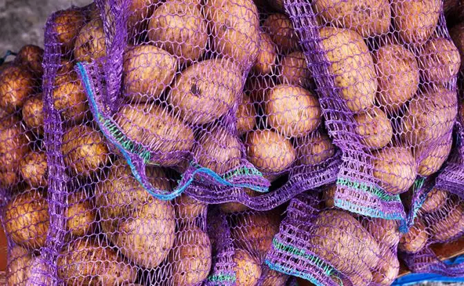В России по факту сложилась «картофельная мафия» В России по факту сложилась «картофельная мафия»