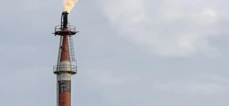 Газовые аппетиты перебили риторику: Европа нарастила импорт ресурсов из РФ