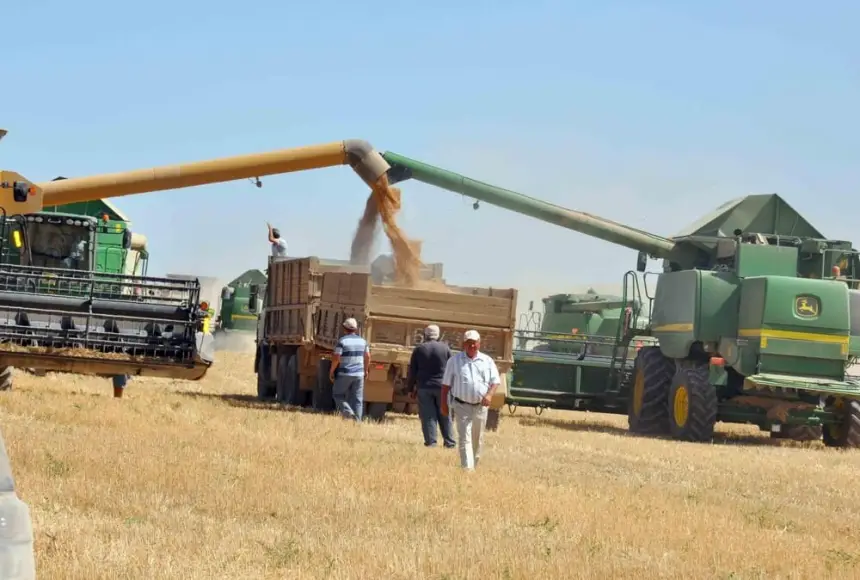 Урожай позволил Астане нарастить экспорт зерна и муки