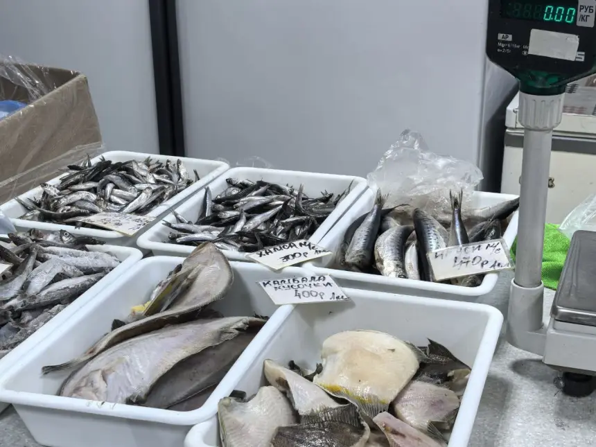 СВО и дикие цены на топливо. Крым остался без рыбы СВО и дикие цены на топливо. Крым остался без рыбы