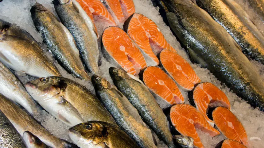 Почему россияне недоедают рыбы Почему россияне недоедают рыбы