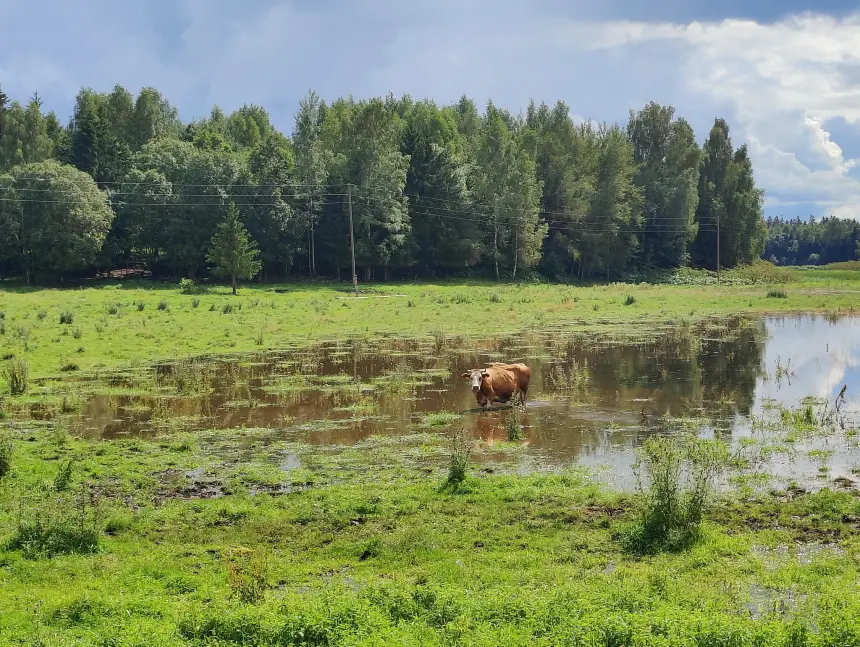 Латвийские военные не дают развивать энергетику в Латгалии Латвийские военные не дают развивать энергетику в Латгалии
