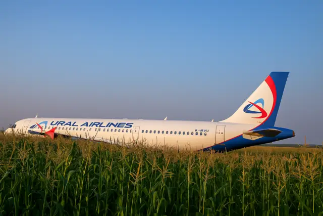 «Пролетай, птица»: МАК раскрала правду о самолёте на кукурузном поле