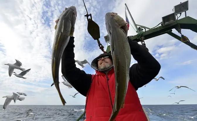 Медведев, где рыба? Рыболовная отрасль всегда стояла к России задом