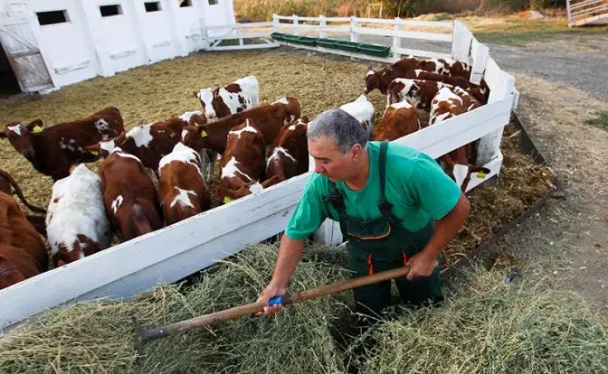 Фермеров предупредили: Год будет тяжелым, денег в бюджете нет