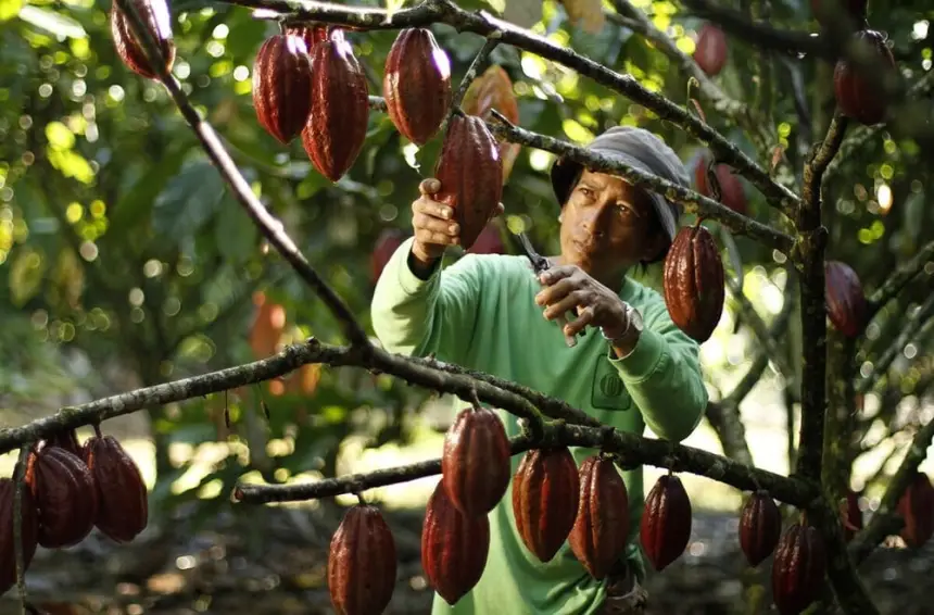 Игнорировать интересы дружественных стран в ЕАЭС недальновидно