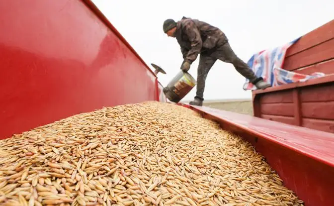 Российских фермеров душат постепенно