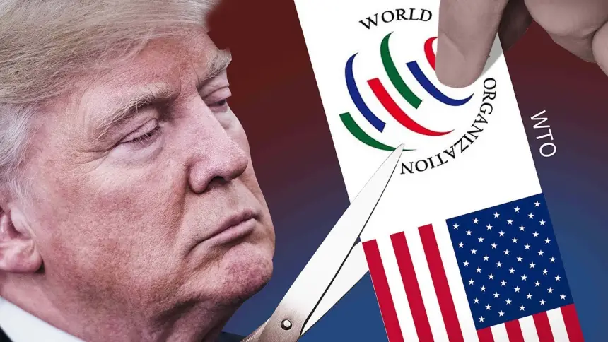 ВТО в состоянии «комы». Возможно ли восстановление?