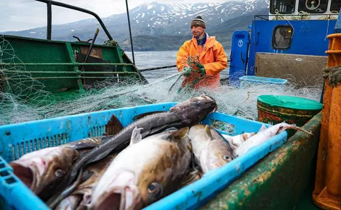 Власть ищет, где рыба — Путин поручил накормить бойцов и школьников